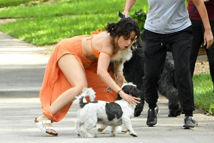 Camila Cabello parkta köpek gezdirdi