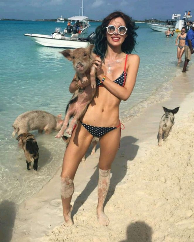 Bella Thorne domuz ile plajda